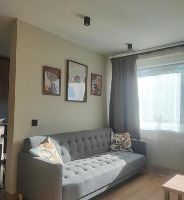 Klaipeda county Apartment | Žemaičių 8