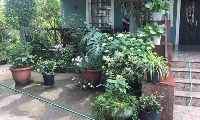 Chakvi House | Гостинны дом
