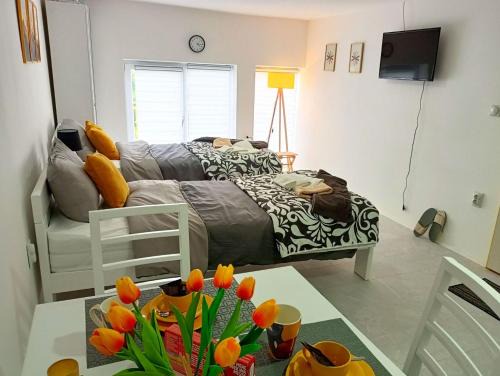 Boljevac Apartment | Жути Ранац - Žuti Ranac - Yellow Backpack