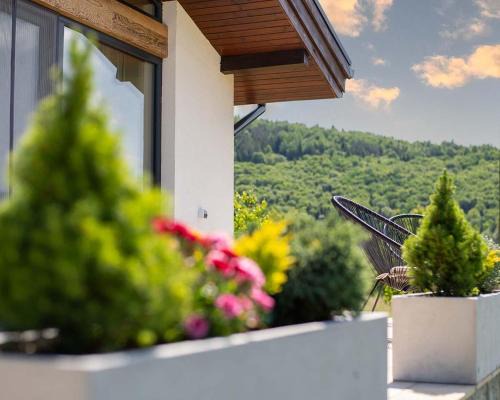 Plavya Ski Chalet | Котедж Шпаківня