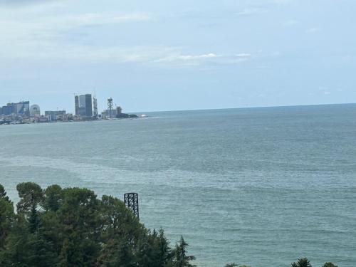 Makhinjauri Apartment | Студия на двоих с потрясающим видом на море