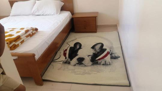 Essaouira Apartment | الصويرة
