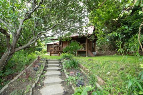 Nishi Ward House | 森の糸島 - Morino Itosima