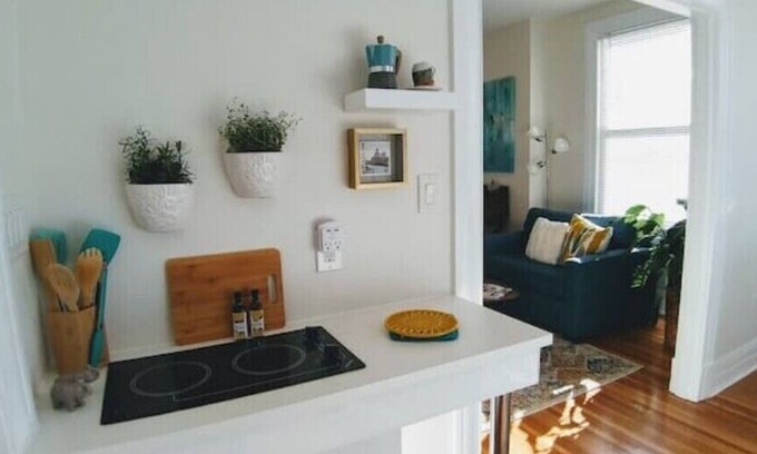 Lynchburg Apartment | #1 1 Bedroom Apt. near LU, Stadium & Hospital.n
