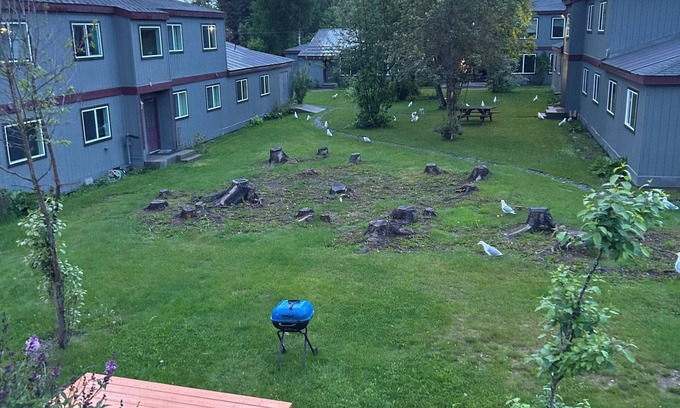 Kenai Apartment | 1.5 miles from the mouth of the Kenai River. In the heart of Kenai!