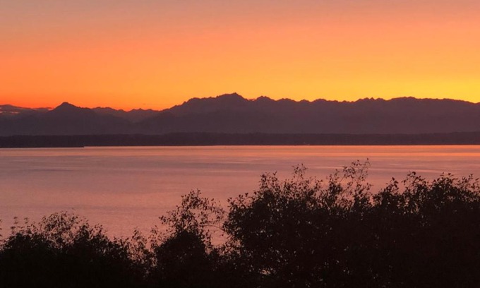 North Beach/Blue Ridge Apartment | 1-Bedroom Seaview Guesthouse on Seattle Luxury Estate with Views of Olympic Mountains