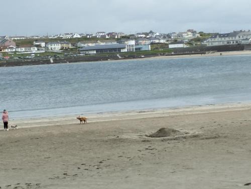 Kilkee House | 1 Coirneal chearta