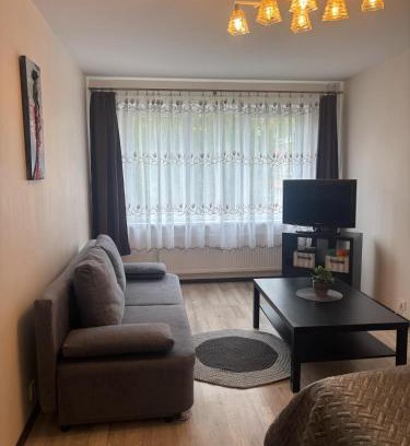 Klaipeda Apartment | 1 room apartment in Statybininku pr.