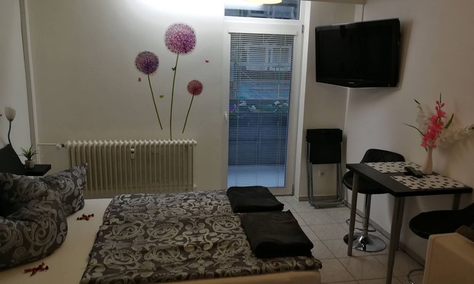 Fuerth Condo | 1 room apartment SMALL but FINE