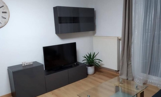 Singen Apartment | 1-Zi. Apartment in Singen (near Lake Constance)