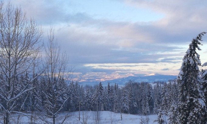 Central Okanagan House | 10 Acre Woods in the beautiful Joe Rich
