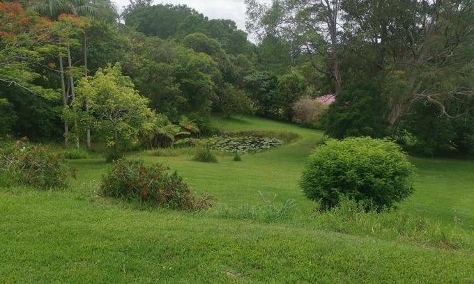 Boambee Bed & Breakfast | 100 m² Bed and breakfast ∙ 3 bedrooms ∙ 6 guests