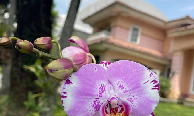 Citaringgul Villa | 1000 m² Villa ∙ 4 bedrooms ∙ 20 guests