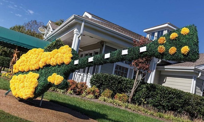 Pennington Bend Resort | 102 m² Resort ∙ 2 bedrooms ∙ 6 guests