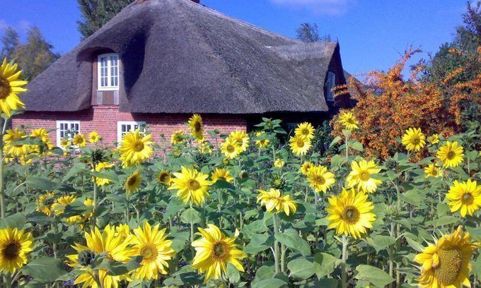 Riepsdorf House | 130 m² House ∙ 4 bedrooms ∙ 8 guests
