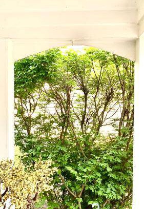 Naperville Bed & Breakfast | 14 m² Bed and breakfast ∙ 1 bedroom ∙ 2 guests
