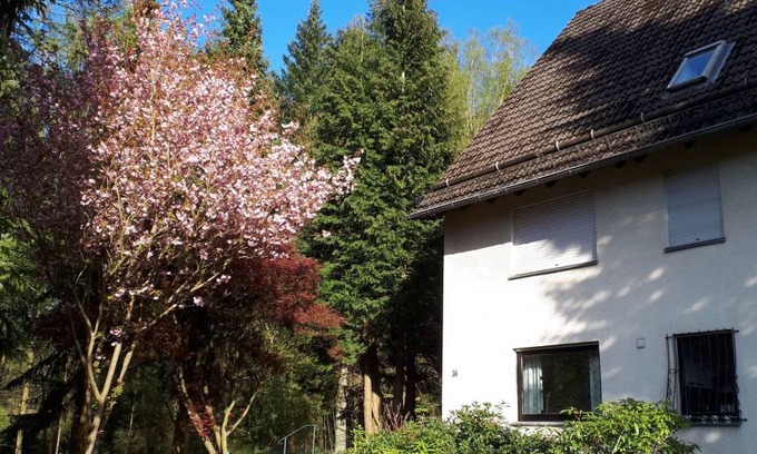 Laddeken House | 150 m² House ∙ 7 bedrooms ∙ 18 guests