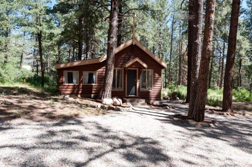 Purgatory Apartment | 151 CR 200 Studio Cabin
