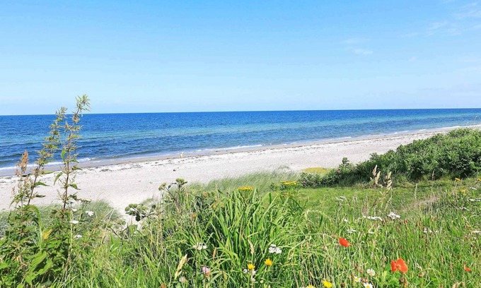 Norddjurs Municipality House | 16 person holiday home in Allingåbro