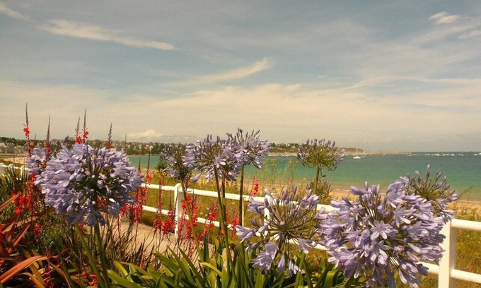 Landebia House | 170m², quiet, renovated in 2009 - St Cast beach 20mn away - INTERNET /AIR CONDITIONING