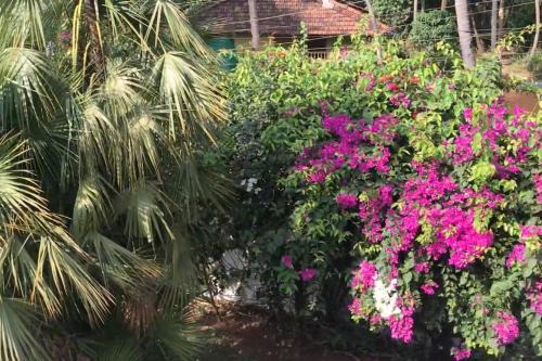 Betalbatim Apartment | 1BHK Luxury Homestay In Betalbatim, South Goa