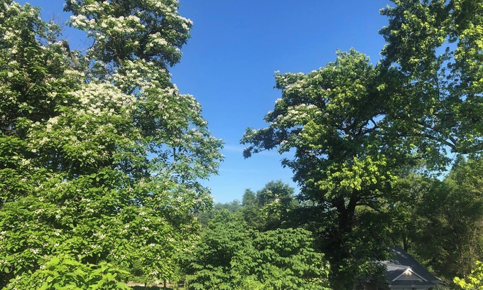 Des Moines Other | 2 Bdrm Urban Acreage just outside Des Moines city limits 10min from downtown.