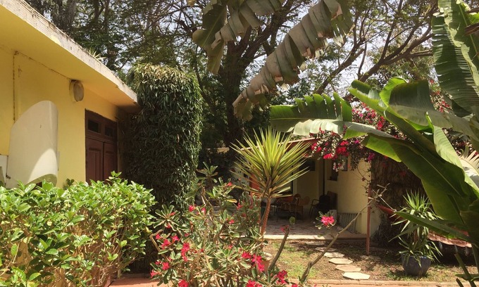 Point E Apartment | 2 beautiful large studios for rent, furnished, at Point E, beautiful garden