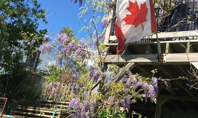 Bridgewater Apartment | 2-bedroom apartment in charming Bridgewater with WiFi, AC. Enjoy your stay