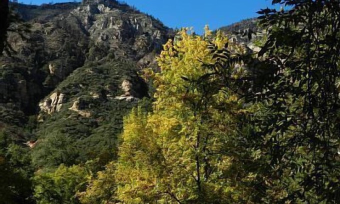 Sedona Condo | 2 Bedroom Condo On The Banks Of Oak Creek