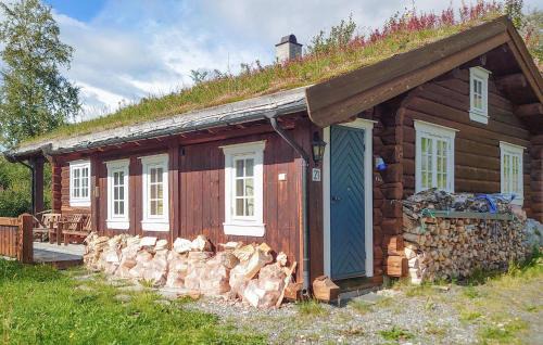 Oppdal House | 2 Bedroom Lovely Home In Oppdal