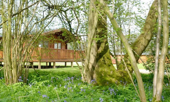 Winchester Cabin | 2 Bedroom, Luxury Woodland Lodge (sleeps 4)