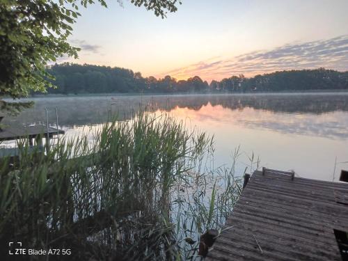 Wokuhl-Dabelow Apartment | 2 FeWo direkt am See Mecklenburg Kleinseenplatte