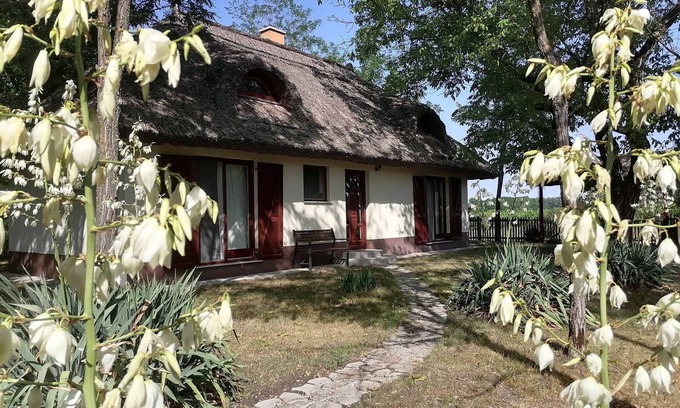 Orgovany House | 2 houses (up to 9 people) in the heart of nature, with private pool