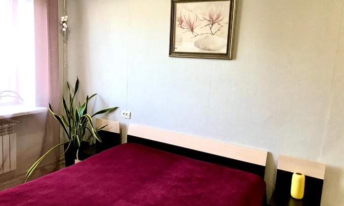 Nizhniy Novgorod City Centre Apartment | 2-х комнатные апартаменты на ул . Максима Горького 161