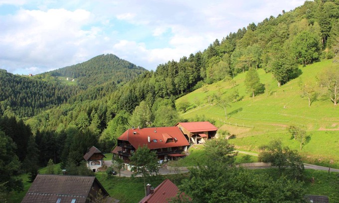 Bad Peterstal-Griesbach Apartment | 20 m² Apartment ∙ 2 guests