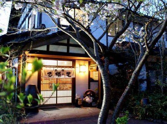 Aso Hotel | 20 m² Hotel ∙ 3 guests