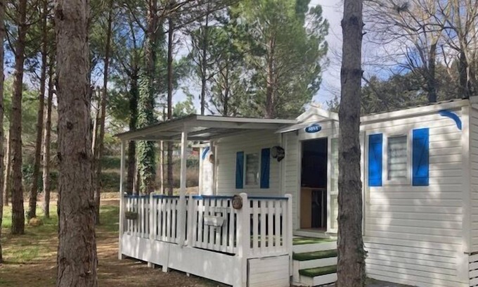 Bedarieux House | 20 Mobilhome Sous les Pins Calme Verdure Clim 4 Couchages