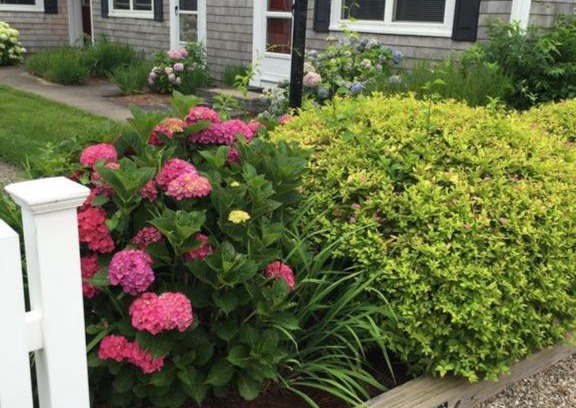 Dennis Port House | 200 Captain Chase Road Dennis Port Cape Cod - - Beach Retreat II