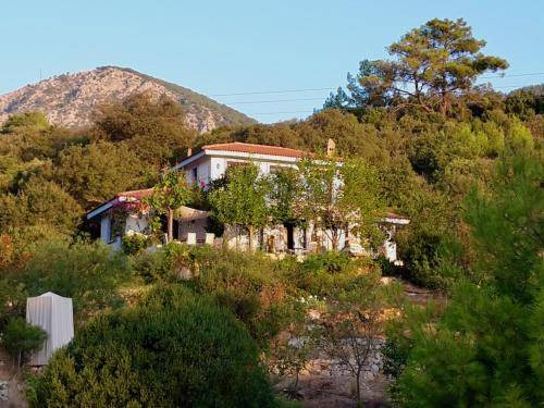 Olympos House | 200 m² House ∙ 4 bedrooms ∙ 8 guests