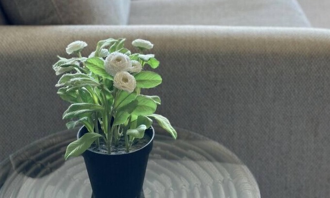 Sydney Olympic Park Apartment | 2105 Olympic park · Best location apartment in Olympic park