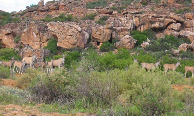 Cederberg Ski Chalet | 230 m² Chalet ∙ 3 bedrooms ∙ 14 guests