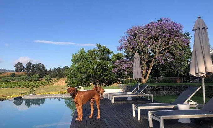 Paarl Hotel | 230 m² Hotel ∙ 10 guests