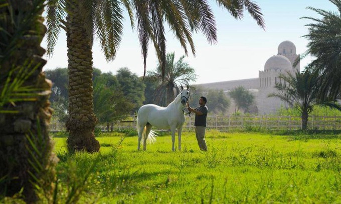 Ash Shahaniya Hotel | 248 m² Hotel ∙ 3 bedrooms ∙ 127 guests