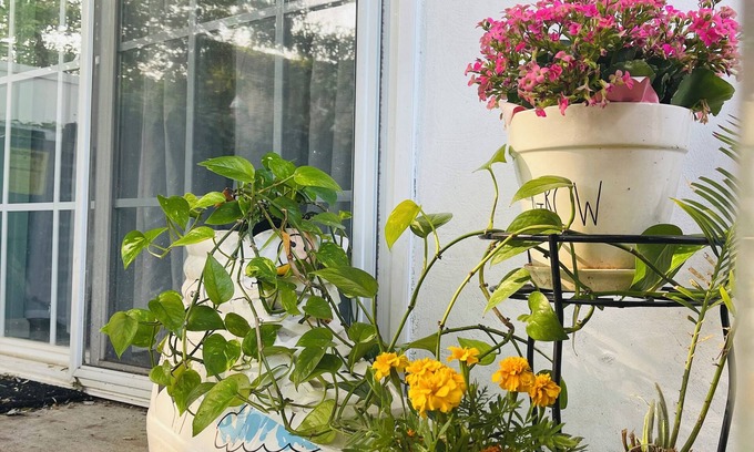 Constable Hook Apartment | 25min AWAY FROM DOWNTOWN Manhattan