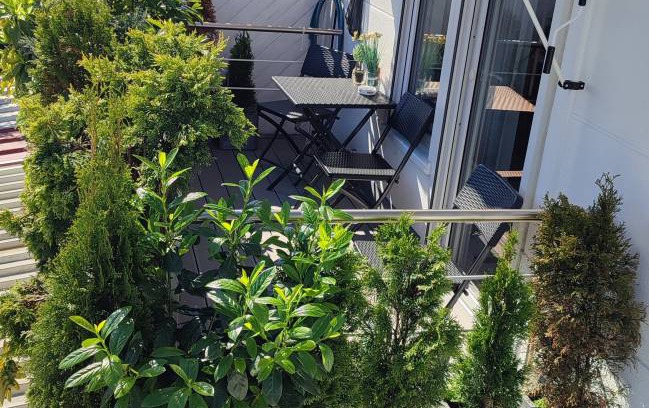 Meckenbeuren Apartment | 28 m² Apartment ∙ 1 bedroom ∙ 3 guests
