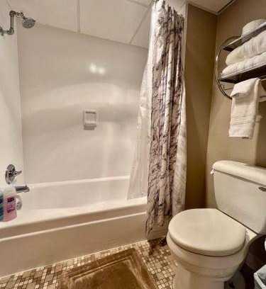 Cedar Falls Apartment | 28 m² Apartment ∙ 1 bedroom ∙ 2 guests