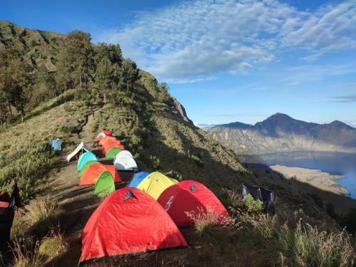 Bayan Other | 2D 1N Rinjani Summit Join Tour