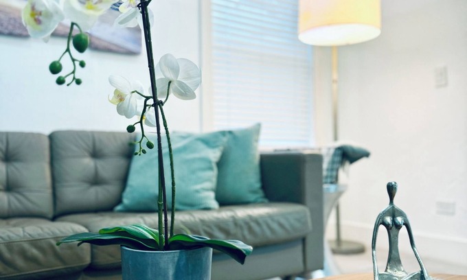 Biscayne Park Villa | 3-bedroom Lovely and Modern Miami Pool Home near to beach.