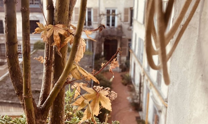 Saint-Victor Bed & Breakfast | 3 independent rooms in the heart of Paris