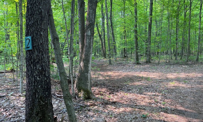 Beulah RV Rental | #3 Private Wooded Campsite for Tents or Small RV's